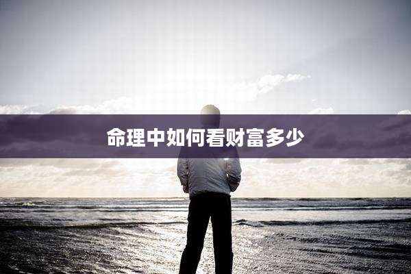 命理中如何看财富多少