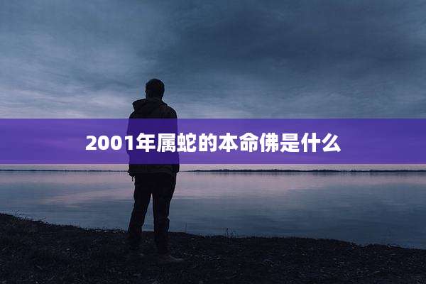 2001年属蛇的本命佛是什么