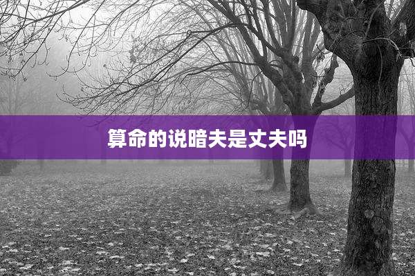 算命的说暗夫是丈夫吗