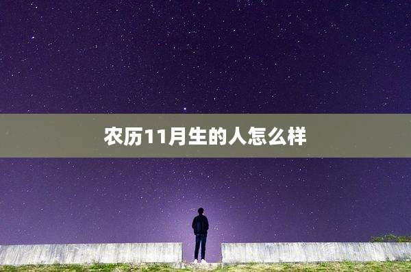 农历11月生的人怎么样