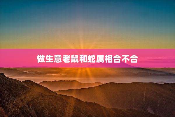 做生意老鼠和蛇属相合不合