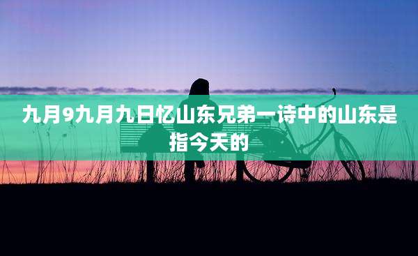 九月9九月九日忆山东兄弟一诗中的山东是指今天的
