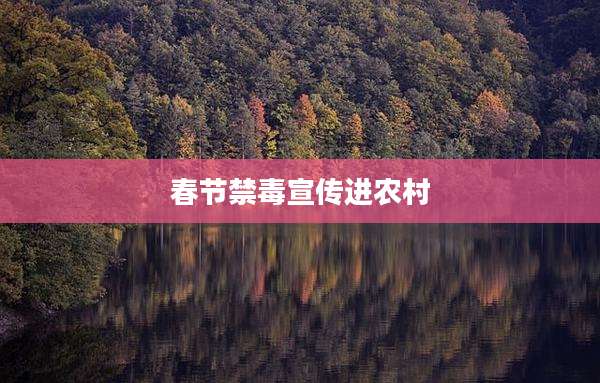 春节禁毒宣传进农村