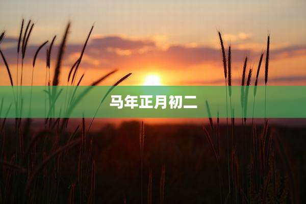 马年正月初二