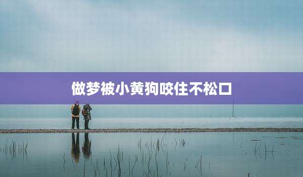 做梦被小黄狗咬住不松口