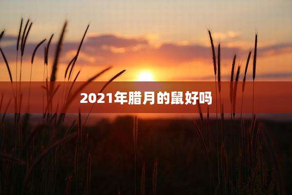 2021年腊月的鼠好吗