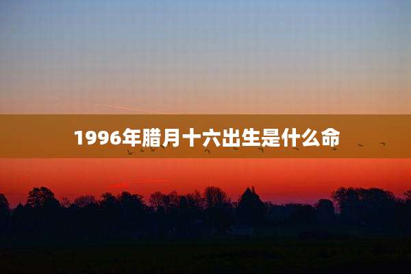 1996年腊月十六出生是什么命