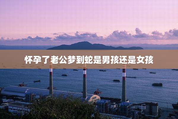 怀孕了老公梦到蛇是男孩还是女孩