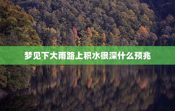 梦见下大雨路上积水很深什么预兆