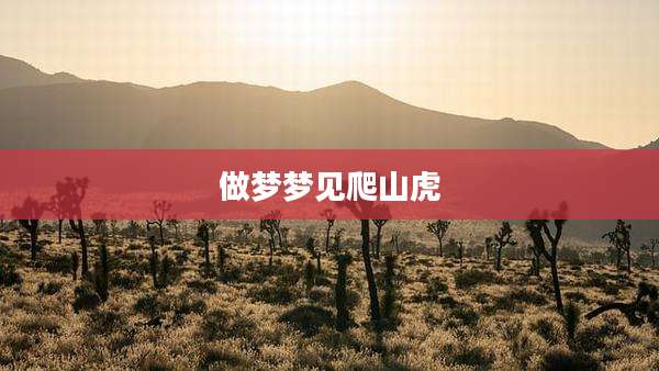 做梦梦见爬山虎