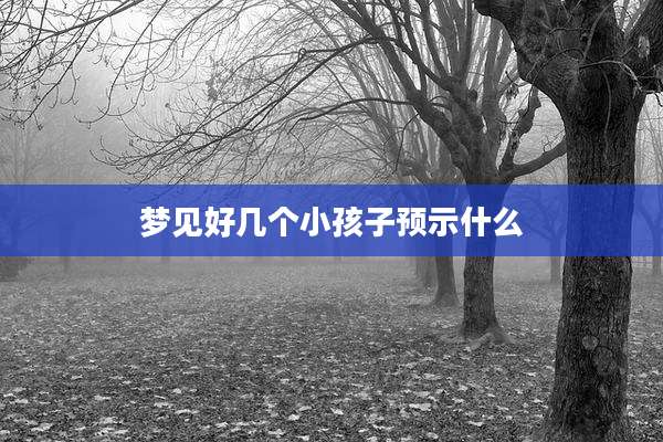 梦见好几个小孩子预示什么