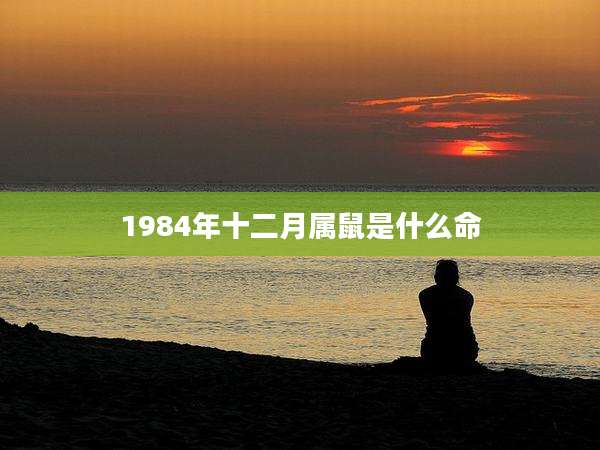 1984年十二月属鼠是什么命