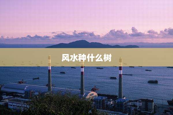 风水种什么树