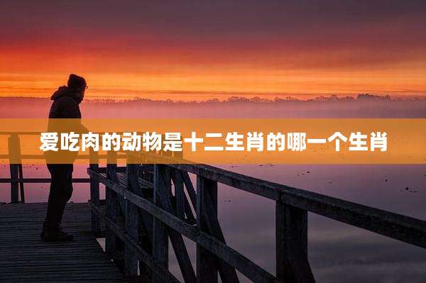爱吃肉的动物是十二生肖的哪一个生肖