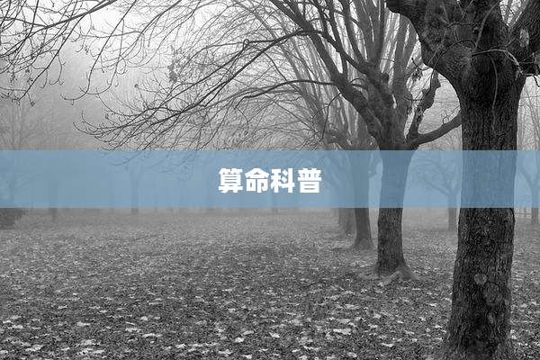 算命科普