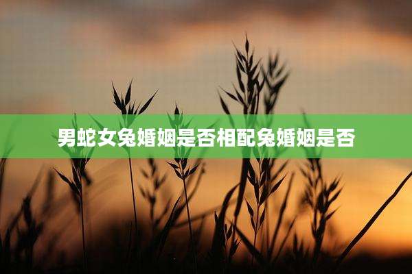 男蛇女兔婚姻是否相配兔婚姻是否