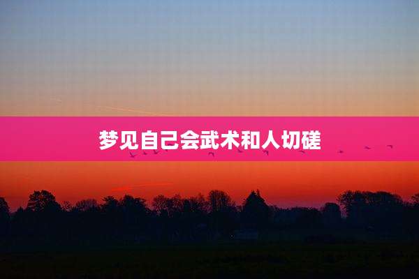 梦见自己会武术和人切磋