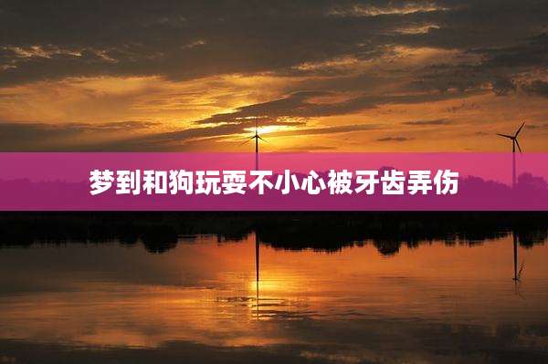 梦到和狗玩耍不小心被牙齿弄伤