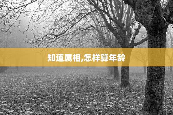 知道属相,怎样算年龄