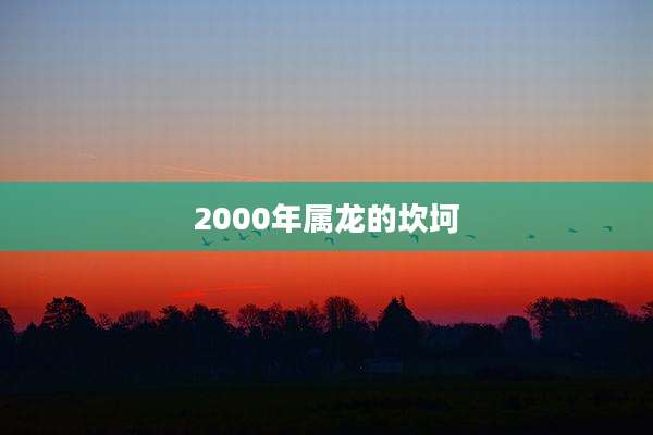 2000年属龙的坎坷