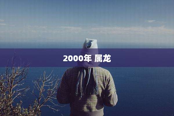 2000年 属龙
