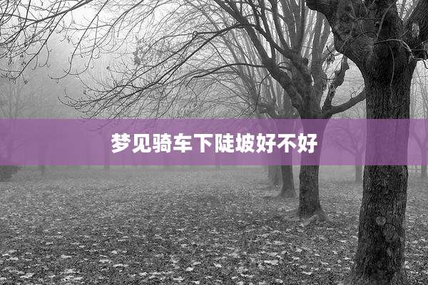 梦见骑车下陡坡好不好