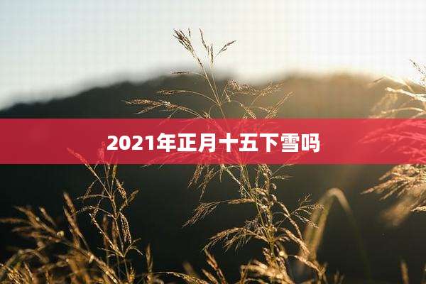 2021年正月十五下雪吗