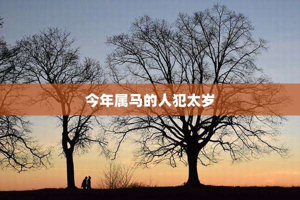 今年属马的人犯太岁