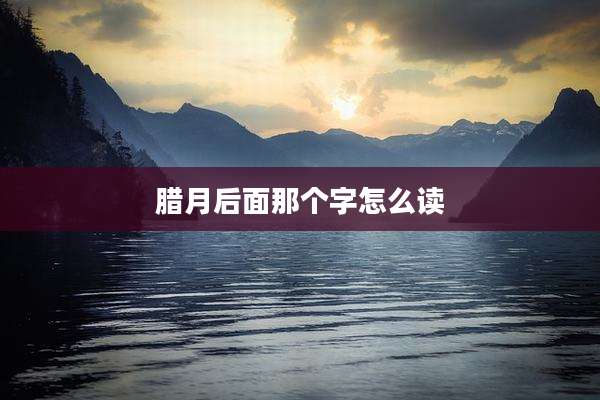 腊月后面那个字怎么读