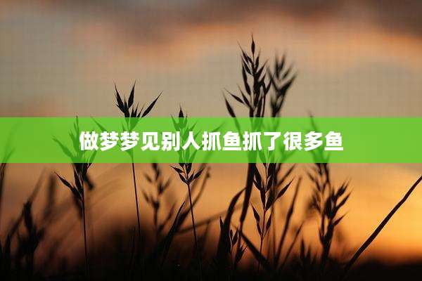 做梦梦见别人抓鱼抓了很多鱼