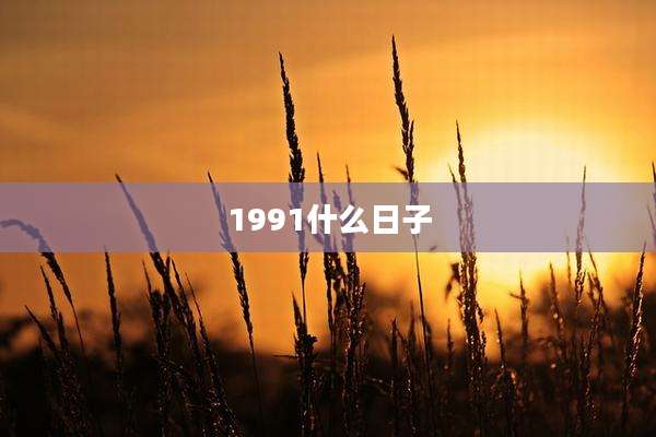 1991什么日子