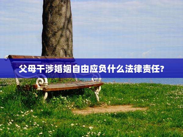 父母干涉婚姻自由应负什么法律责任?