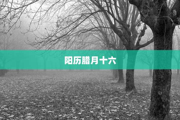 阳历腊月十六