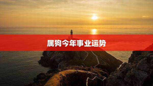 属狗今年事业运势