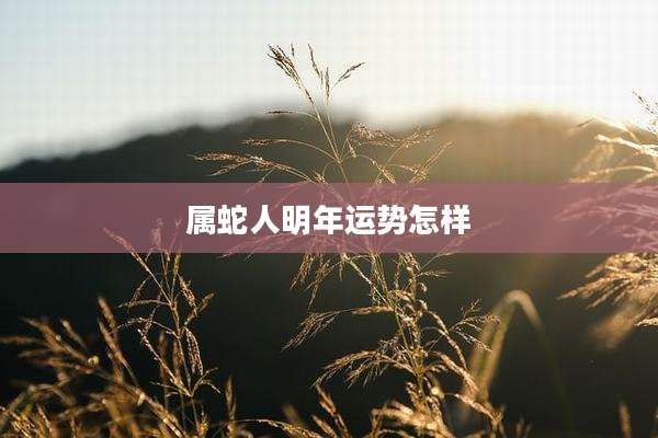 属蛇人明年运势怎样