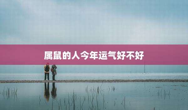 属鼠的人今年运气好不好