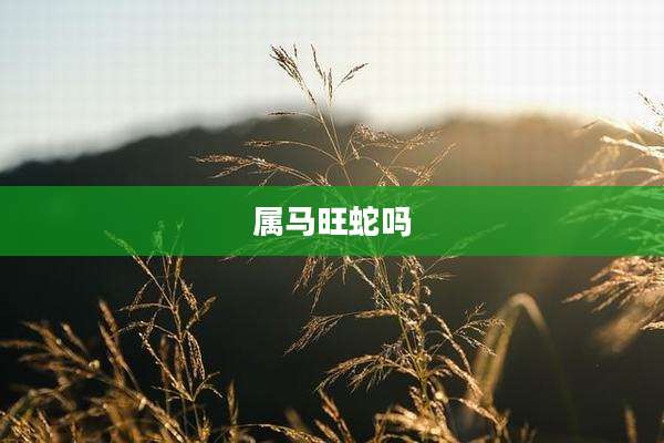 属马旺蛇吗