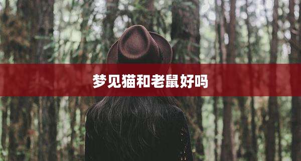 梦见猫和老鼠好吗