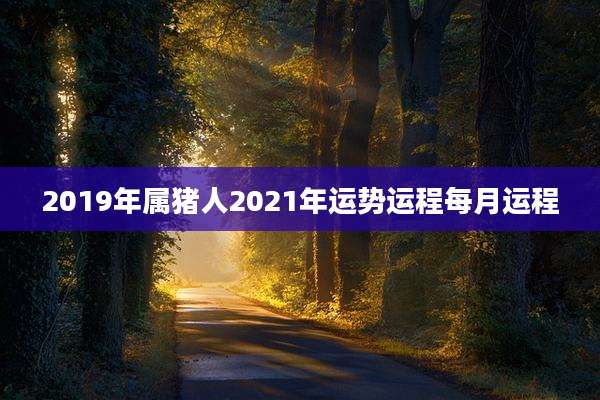 2019年属猪人2021年运势运程每月运程