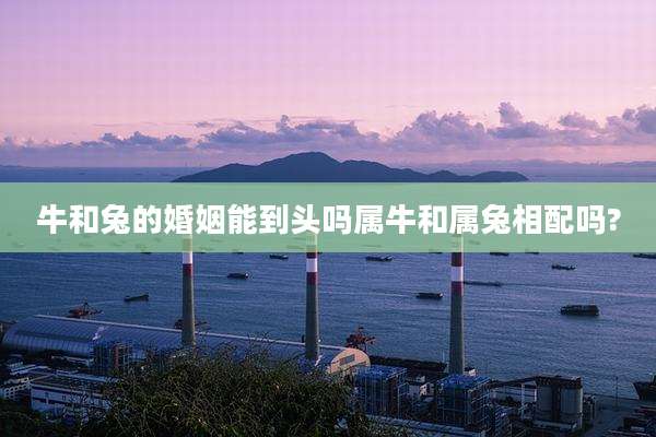 牛和兔的婚姻能到头吗属牛和属兔相配吗?
