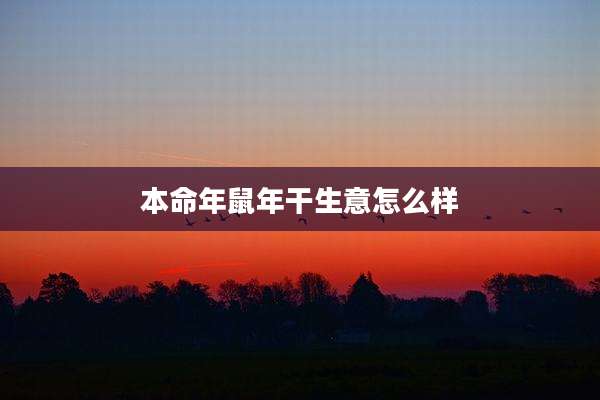本命年鼠年干生意怎么样