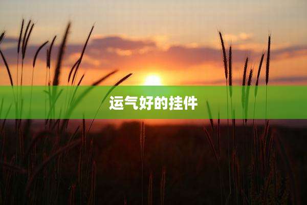 运气好的挂件