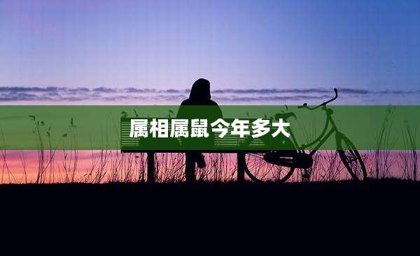 属相属鼠今年多大