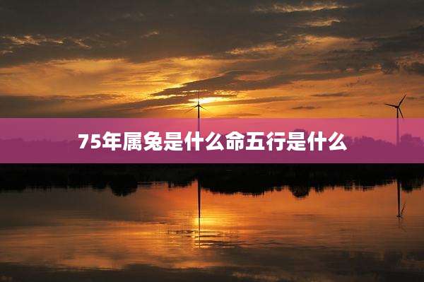75年属兔是什么命五行是什么