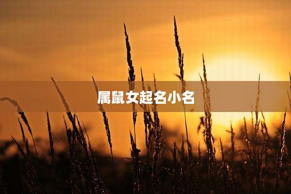 属鼠女起名小名
