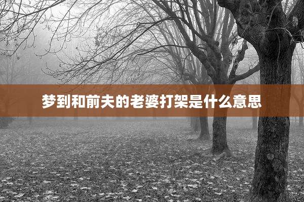 梦到和前夫的老婆打架是什么意思