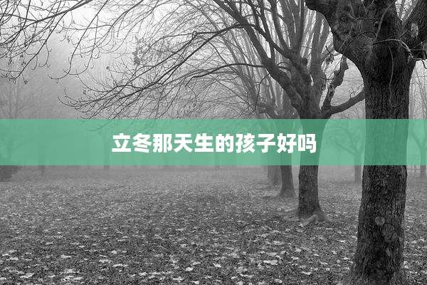 立冬那天生的孩子好吗