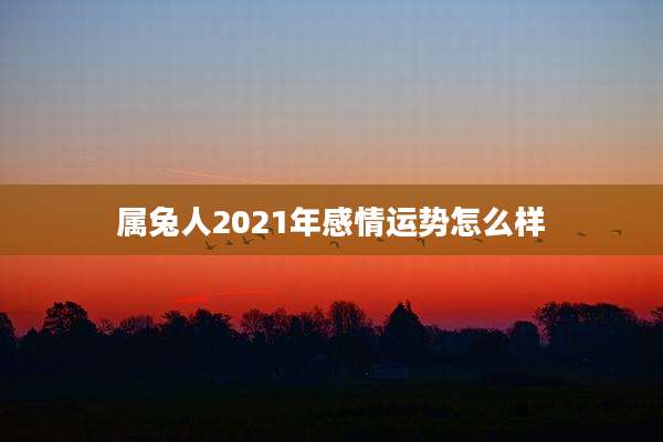 属兔人2021年感情运势怎么样
