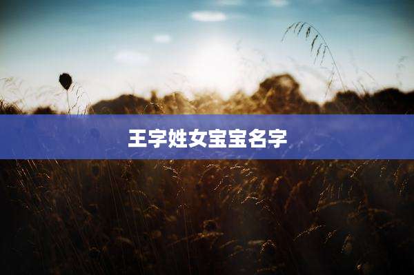 王字姓女宝宝名字