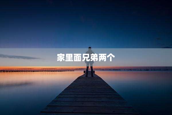 家里面兄弟两个